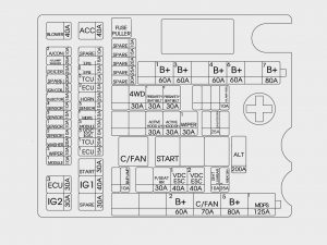 Hyundai Genesis - fuse box - engine compartment