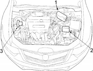 Acura TSX - fuse box diagram - engine compartment (engine 2.4l)